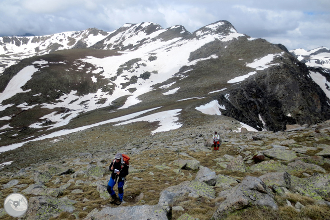 Puigpedrós (2.915m) per Engorgs des del refugi de Malniu 1 