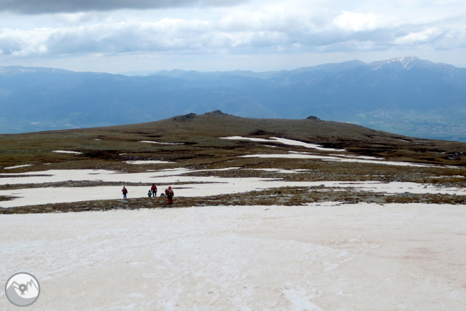 Puigpedrós (2.915m) per Engorgs des del refugi de Malniu 1 