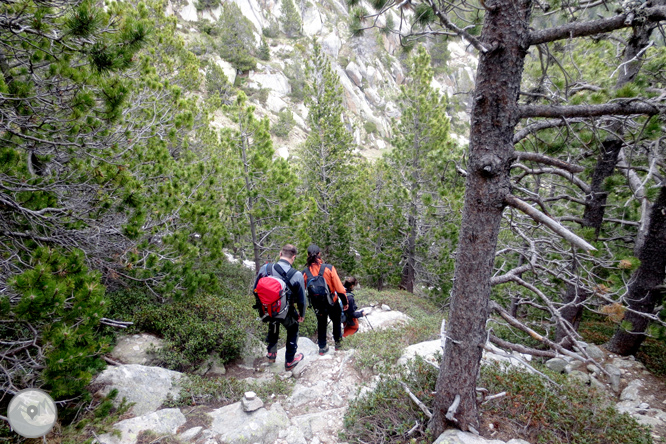 Puigpedrós (2.915m) per Engorgs des del refugi de Malniu 1 