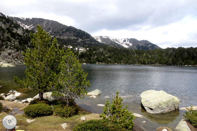 Puigpedrós (2.915m) per Engorgs des del refugi de Malniu 1 