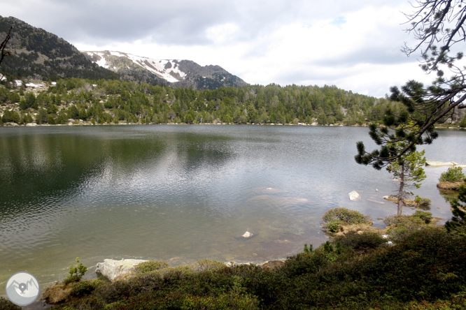 Puigpedrós (2.915m) per Engorgs des del refugi de Malniu 1 