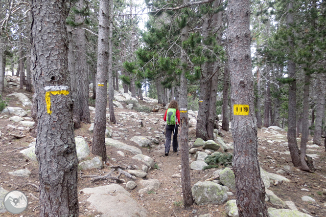 Puigpedrós (2.915m) per Engorgs des del refugi de Malniu 1 