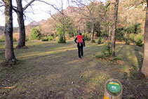 El camí s´enfila per entremig d´una roureda seca seguint les marques grogues.