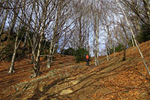 Arribant al coll que uneix la collada de Bracons amb el Puigsacalm.