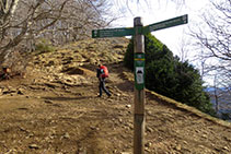 Pal indicador just al coll de sota el cim del Puigsacalm.