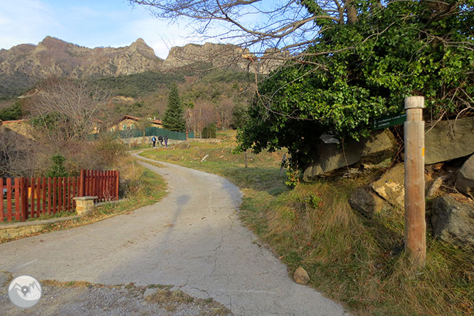 Puigsacalm (1.515m) i Puig dels Llops (1.486m) des de Joanetes 1 