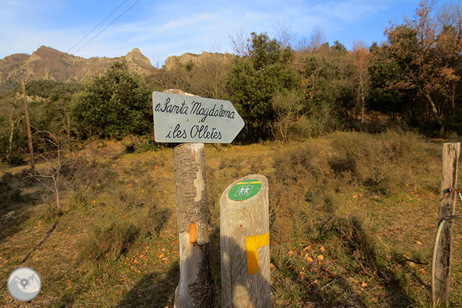 Puigsacalm (1.515m) i Puig dels Llops (1.486m) des de Joanetes 1 