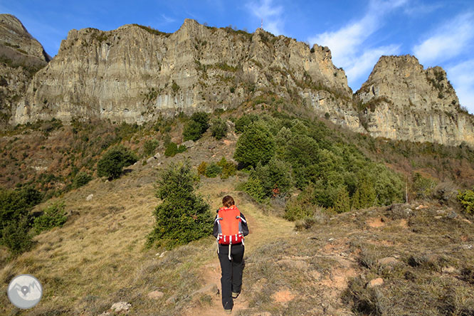 Puigsacalm (1.515m) i Puig dels Llops (1.486m) des de Joanetes 1 