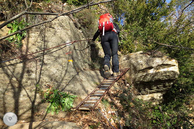 Puigsacalm (1.515m) i Puig dels Llops (1.486m) des de Joanetes 1 