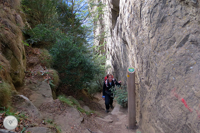 Puigsacalm (1.515m) i Puig dels Llops (1.486m) des de Joanetes 1 