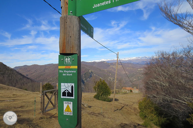 Puigsacalm (1.515m) i Puig dels Llops (1.486m) des de Joanetes 1 