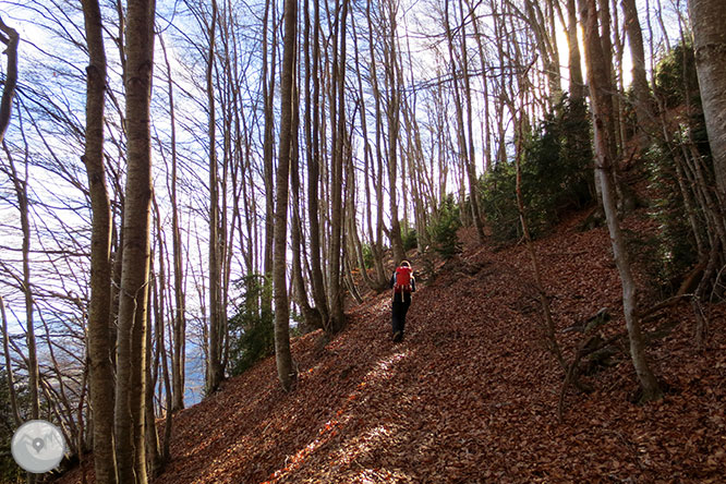 Puigsacalm (1.515m) i Puig dels Llops (1.486m) des de Joanetes 1 