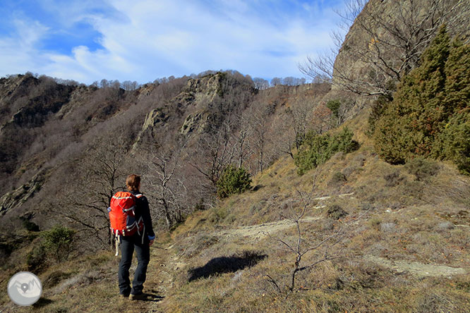 Puigsacalm (1.515m) i Puig dels Llops (1.486m) des de Joanetes 1 