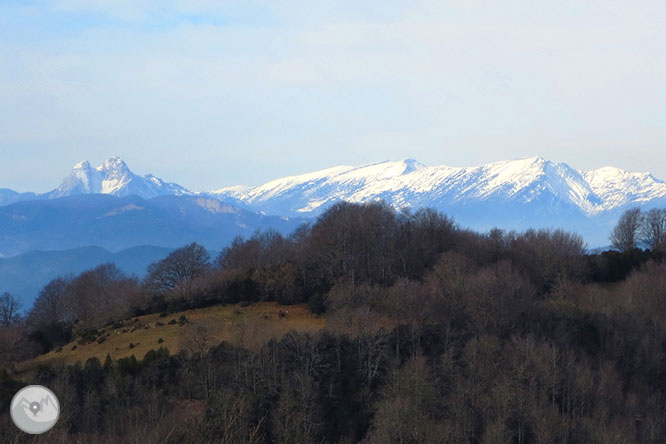 Puigsacalm (1.515m) i Puig dels Llops (1.486m) des de Joanetes 1 