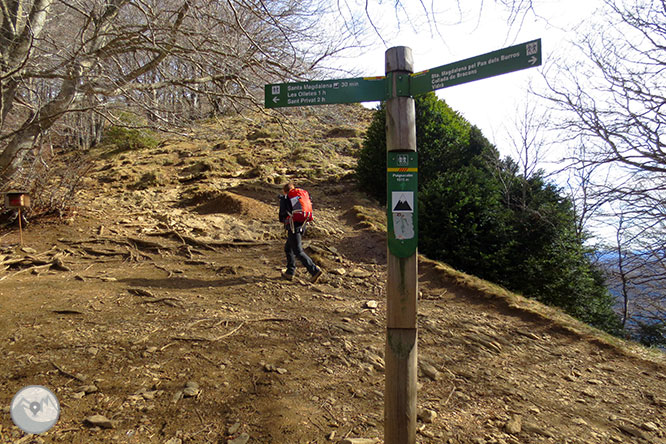 Puigsacalm (1.515m) i Puig dels Llops (1.486m) des de Joanetes 1 