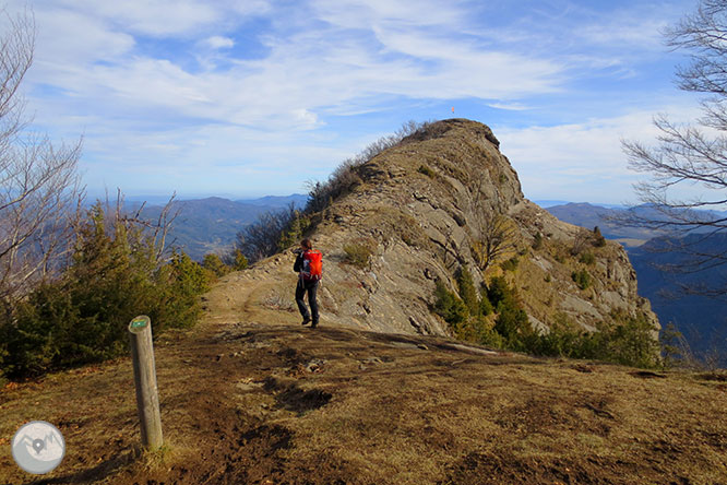 Puigsacalm (1.515m) i Puig dels Llops (1.486m) des de Joanetes 1 