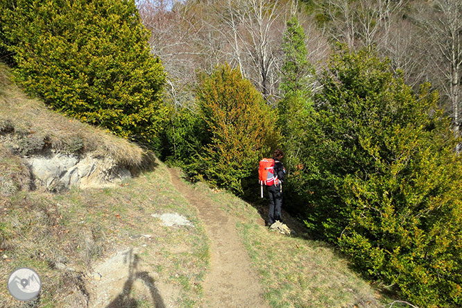 Puigsacalm (1.515m) i Puig dels Llops (1.486m) des de Joanetes 1 