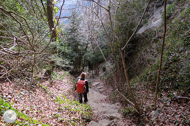 Puigsacalm (1.515m) i Puig dels Llops (1.486m) des de Joanetes 1 