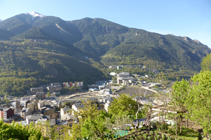 El bosc de l´Obaga d´Andorra.