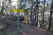 Pal indicador en el camí de Ribes de Freser a l´ermita de Sant Antoni.