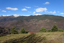 Les pinedes de serra Estremera, el poblet de Ventolà i el Puigmal al fons.