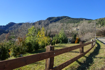 Boscos de la serra de Montgrony des del Baell.