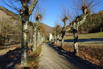 Jardins del balneari de Montagut.