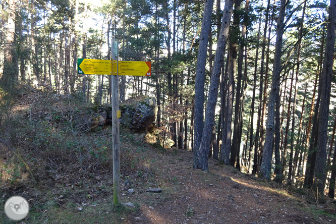 Per Campelles i Ribes de Freser sota la mirada del Taga 1 