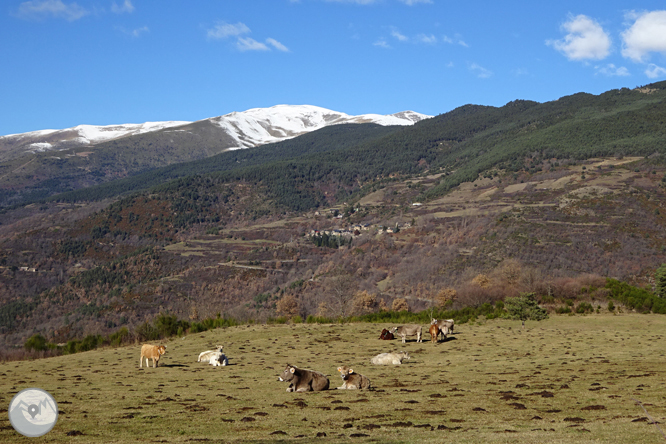 Per Campelles i Ribes de Freser sota la mirada del Taga 1 