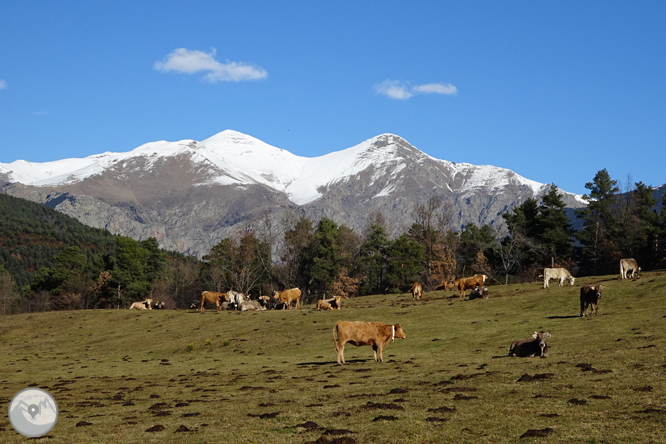 Per Campelles i Ribes de Freser sota la mirada del Taga 1 