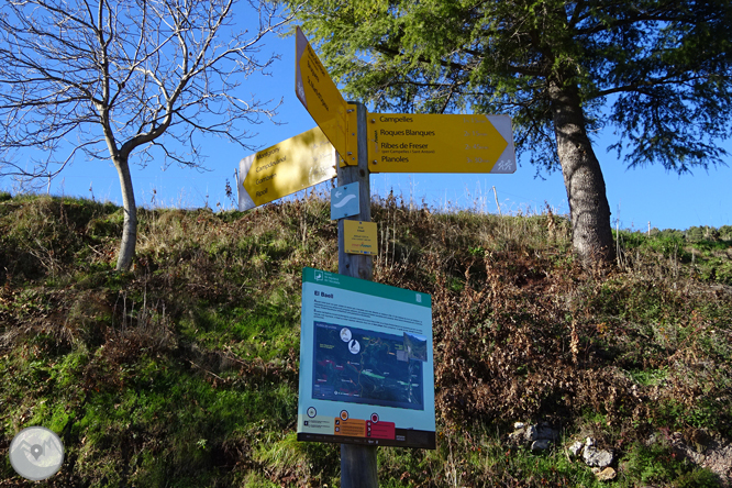 Per Campelles i Ribes de Freser sota la mirada del Taga 1 