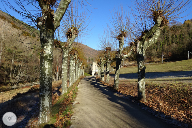 Per Campelles i Ribes de Freser sota la mirada del Taga 1 