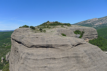 L´altiplà de la Roca del Corb (O) des de l´Agulla del Corb.