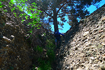 Canaleta que ens porta fins al collet que hi ha entre l´Agulla del Corb i la Roca del Corb.