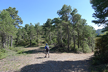 Creuament de pistes. Nosaltres seguim recte endavant pel camí que s´enfila directe cap al Roc de Cogul.