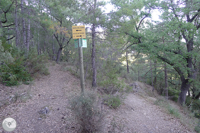 Roca del Corb i Roc de Cogul des de Peramola 1 