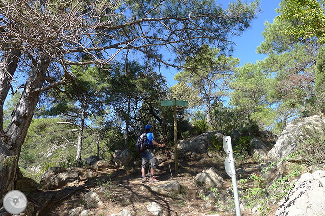 Roca del Corb i Roc de Cogul des de Peramola 1 