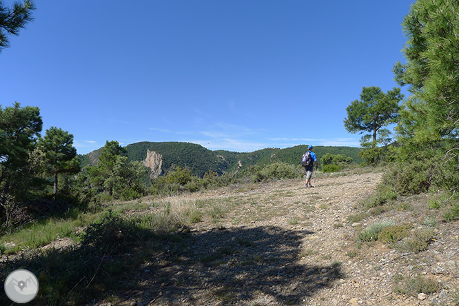 Roca del Corb i Roc de Cogul des de Peramola 1 