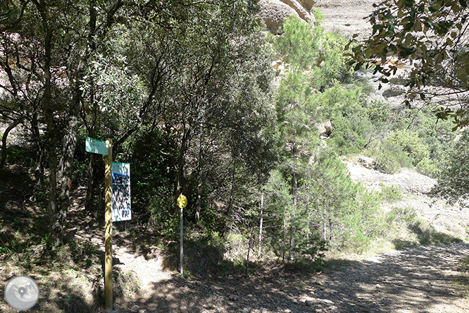 Roca del Corb i Roc de Cogul des de Peramola 1 