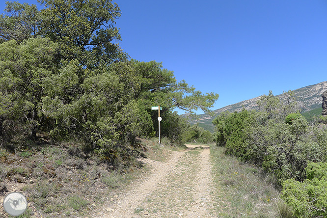 Roca del Corb i Roc de Cogul des de Peramola 1 