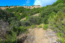 Camí cap a Sant Honorat.