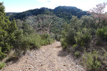 Pista de terra i forta baixada.