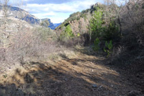 Arribem al trencall pista - corriol. Les dues opcions ens porten cap a l´església de Santa Maria de Castell-llebre.