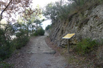 Camí empedrat.