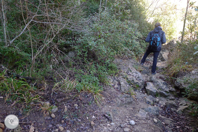 Ruta circular per la serra de Sant Honorat 1 