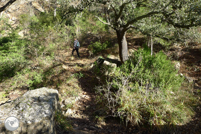 Ruta circular per la serra de Sant Honorat 1 