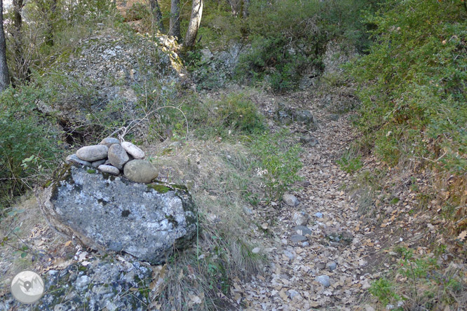 Ruta circular per la serra de Sant Honorat 1 