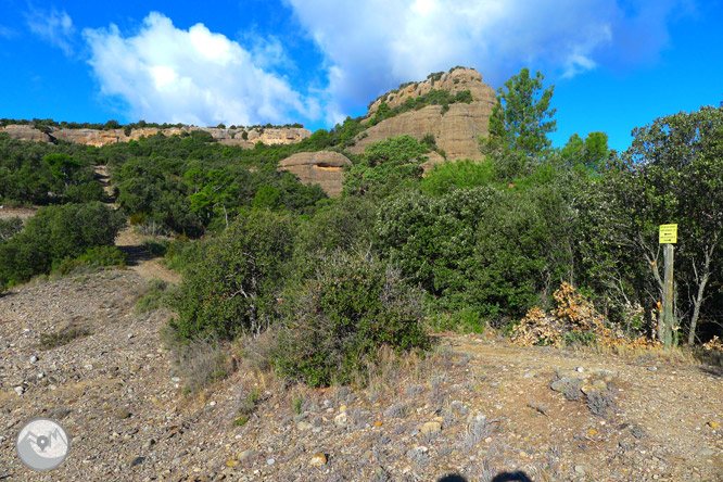 Ruta circular per la serra de Sant Honorat 1 