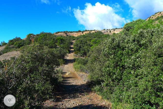 Ruta circular per la serra de Sant Honorat 1 