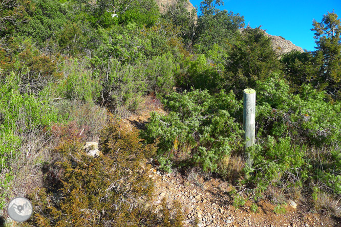 Ruta circular per la serra de Sant Honorat 1 